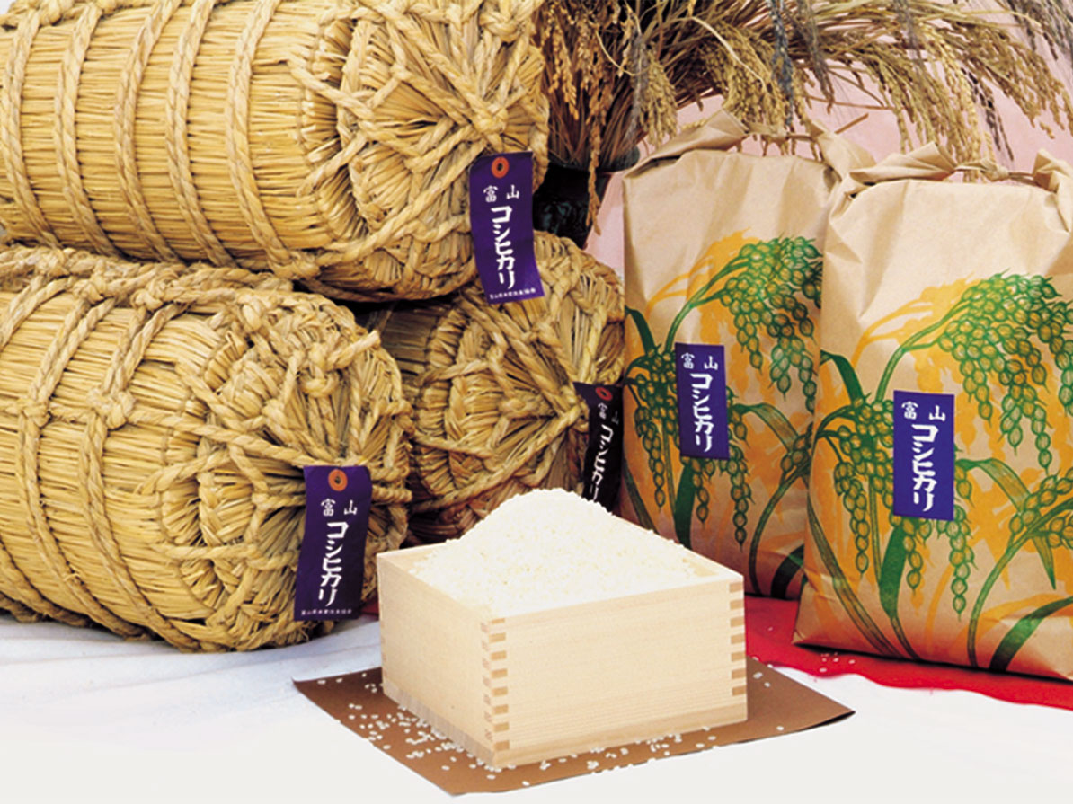 米よし_富山県産新米コシヒカリ