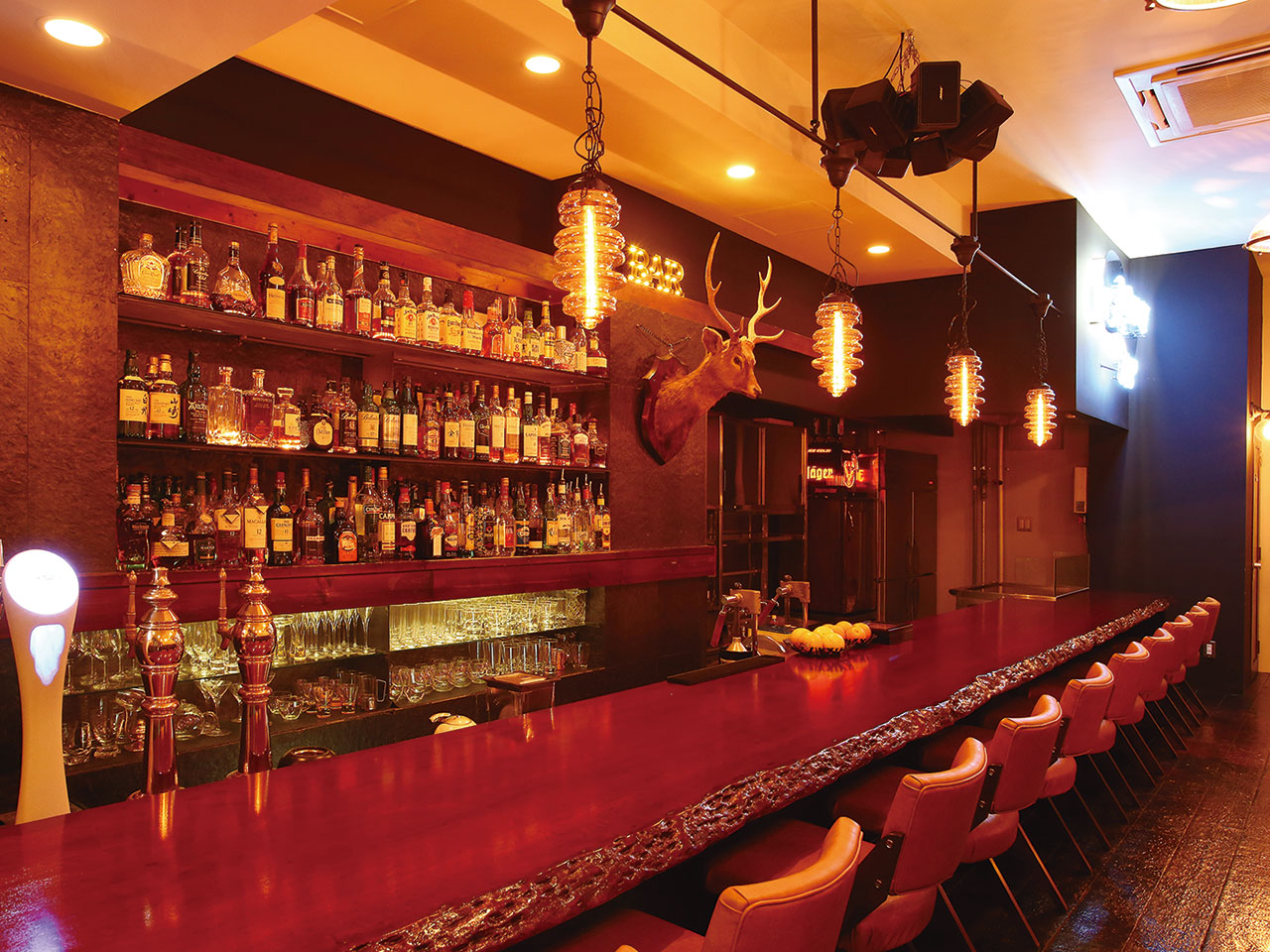Beauty bar paradise солярис