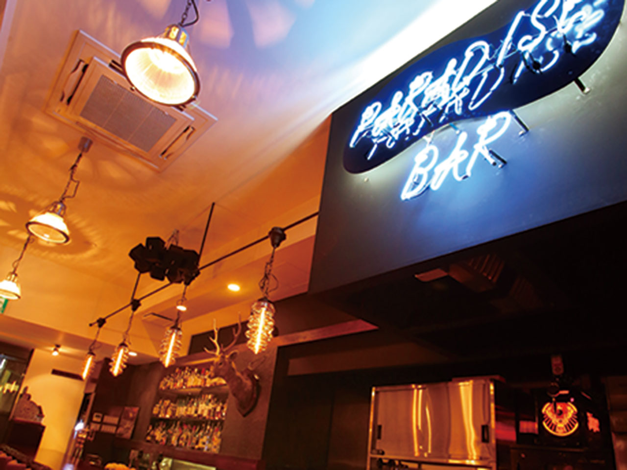 Beauty bar paradise солярис