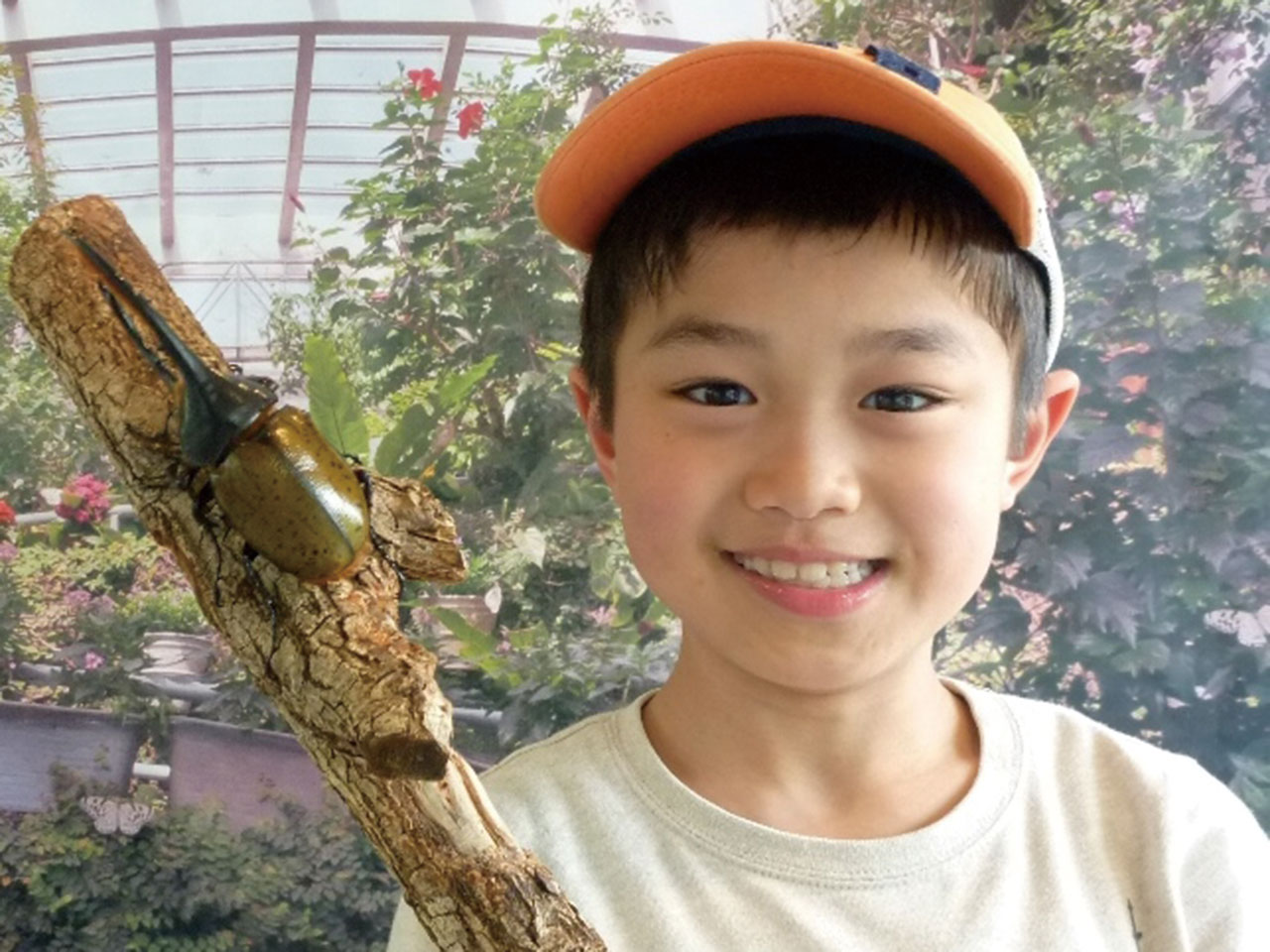 ふれあい昆虫館 特集 金沢情報web