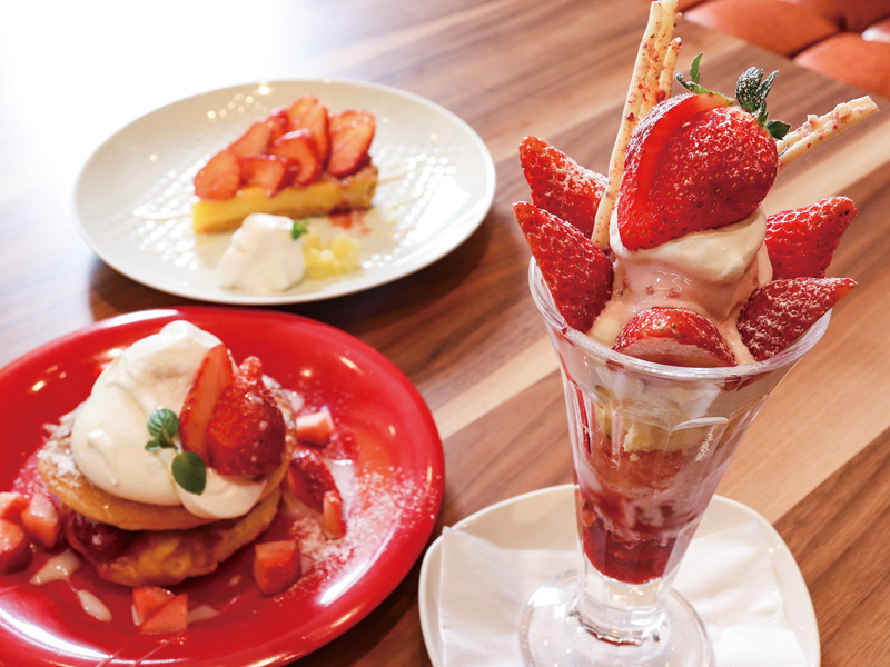 かふぇふたば 富山情報web