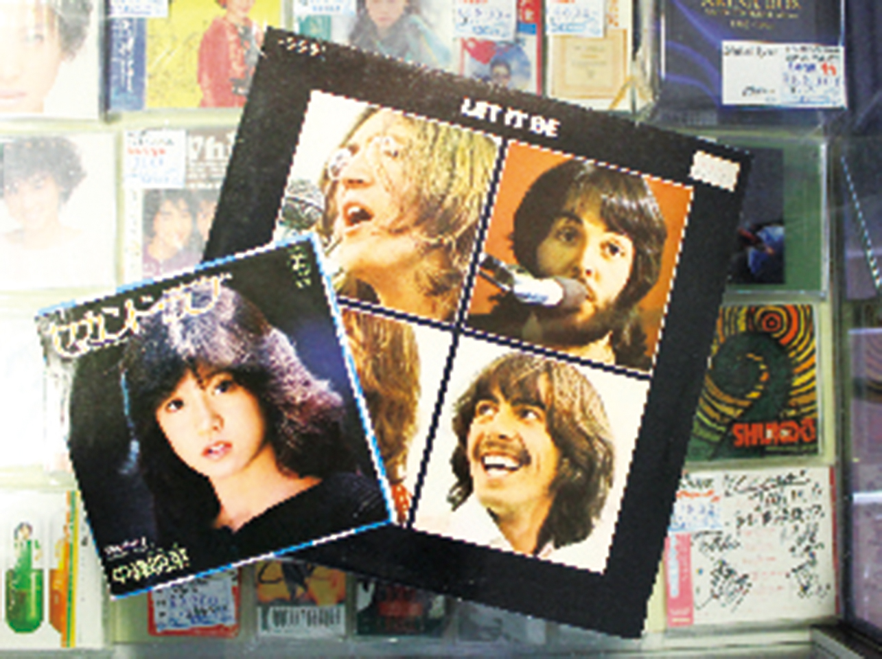 Kingkong新潟店 特集 新潟情報web