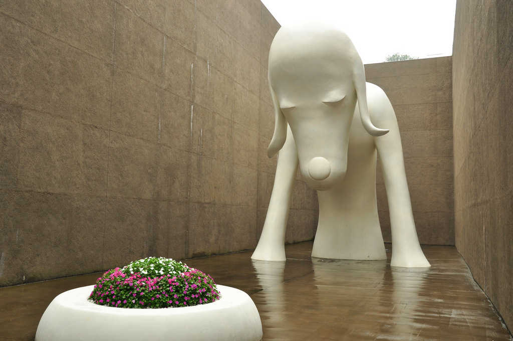 青森県立美術館の画像