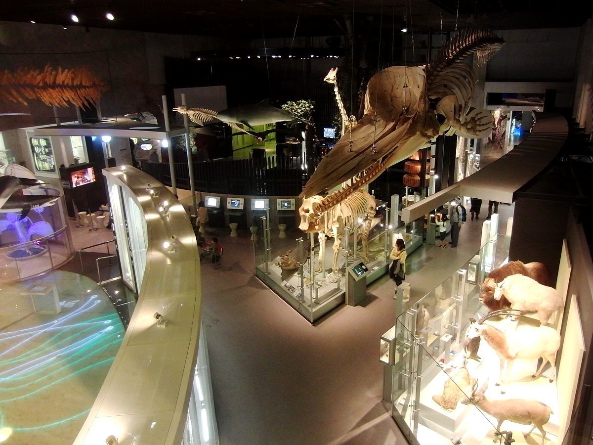 国立科学博物館の画像