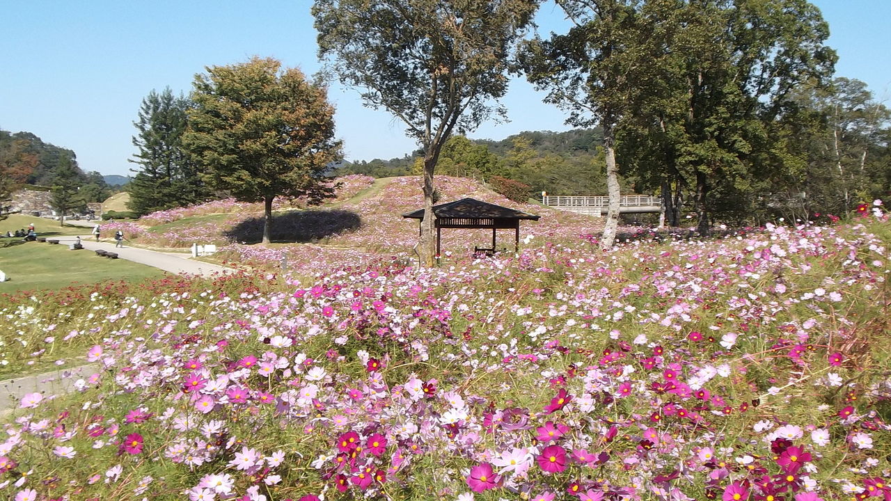 讃岐まんのう公園の画像