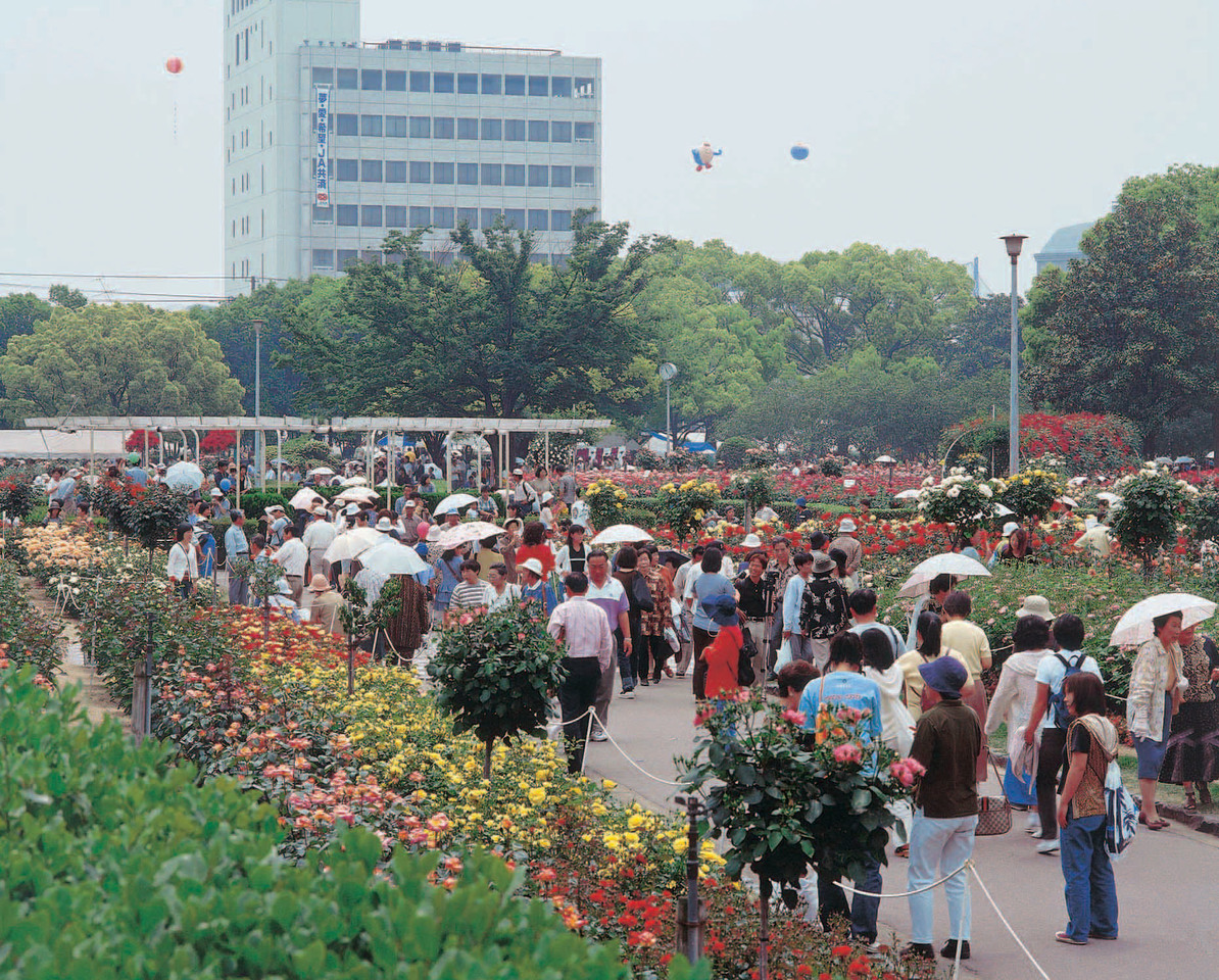 福山ばら祭の画像