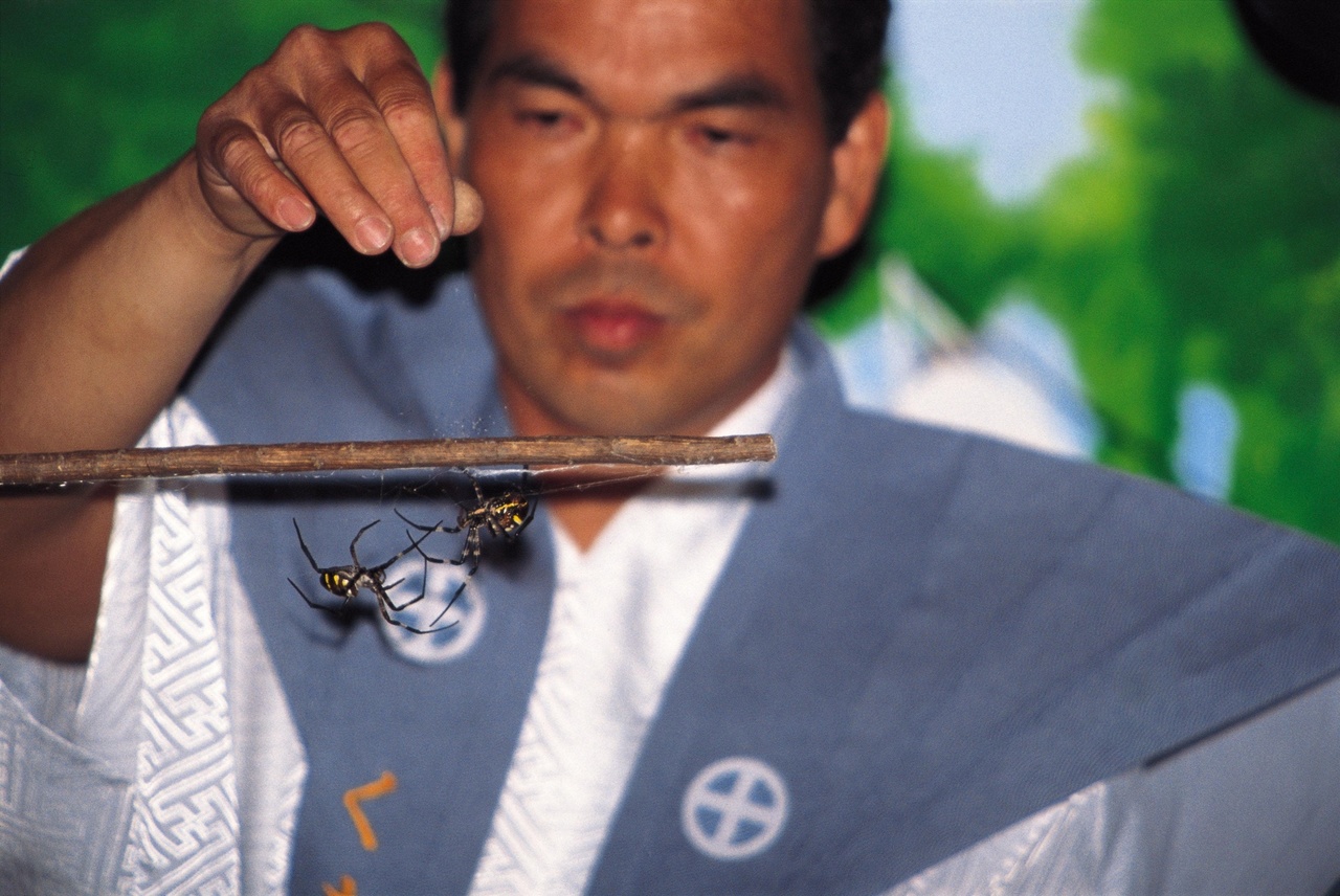 加治木くも合戦の画像