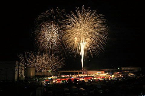 なんごう黒潮まつりの画像