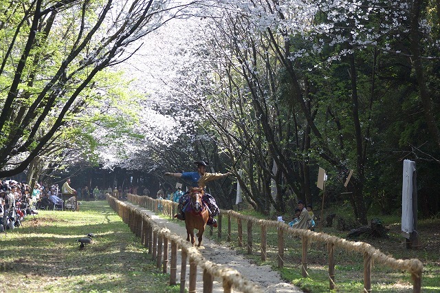 宮崎神宮 神事流鏑馬の画像