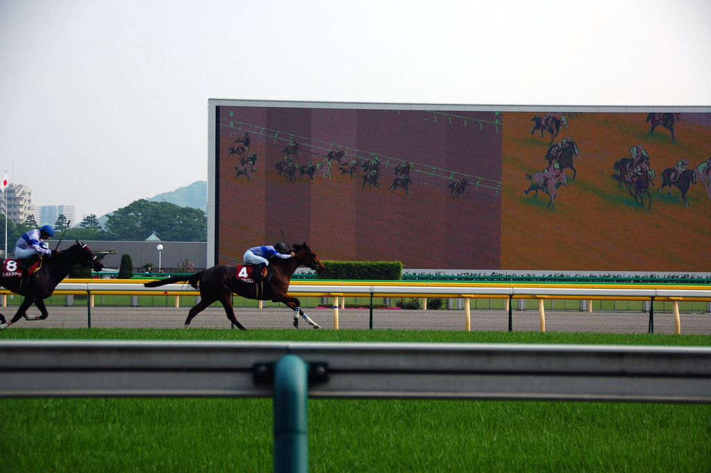 Jra 東京競馬場 府中競馬場 Taving タビング 旅行やおでかけを楽しくする観光音声ガイド