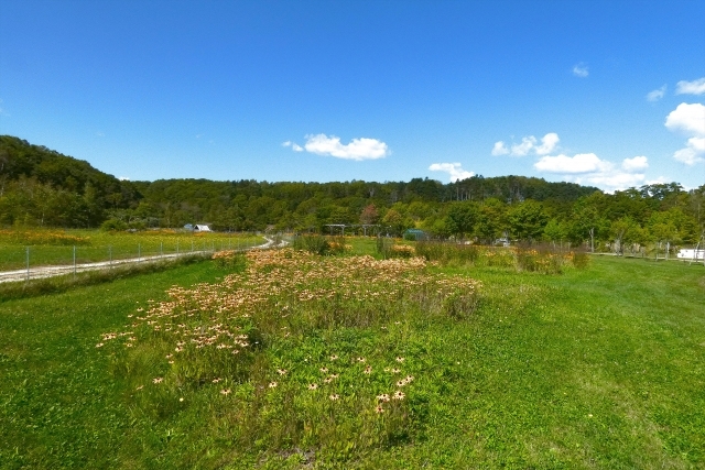 えこりん村（銀河庭園＆みどりの牧場）の画像