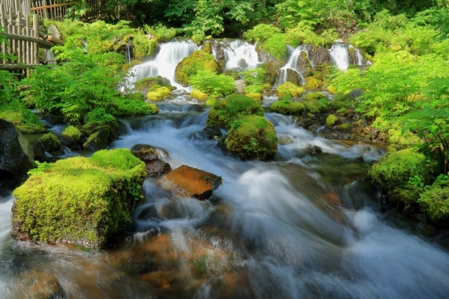 ふきだし公園の画像