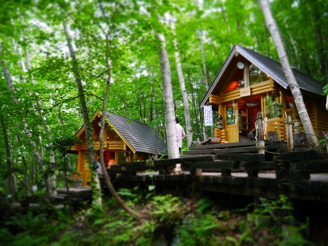 ニングルテラスの画像