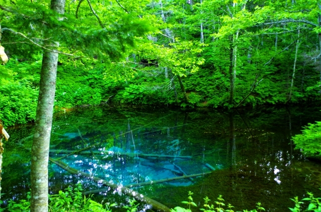 神の子池の画像