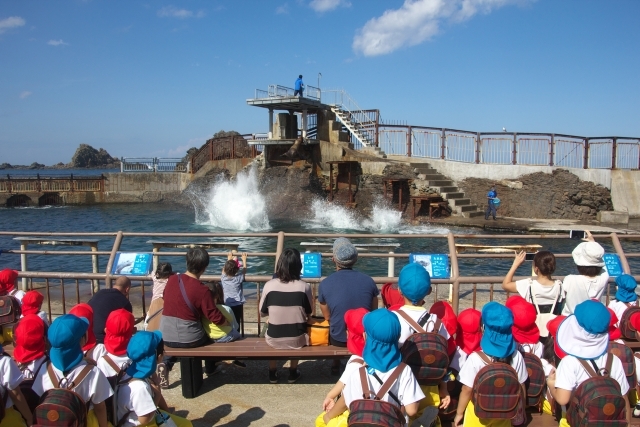 おたる水族館の画像