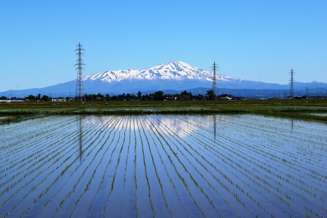 鳥海山の画像