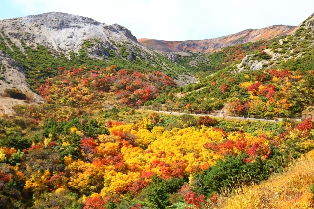 磐梯吾妻スカイラインの画像