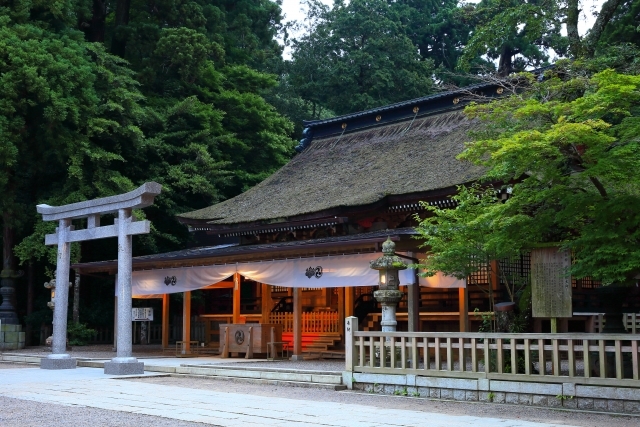 鹿島神宮の画像