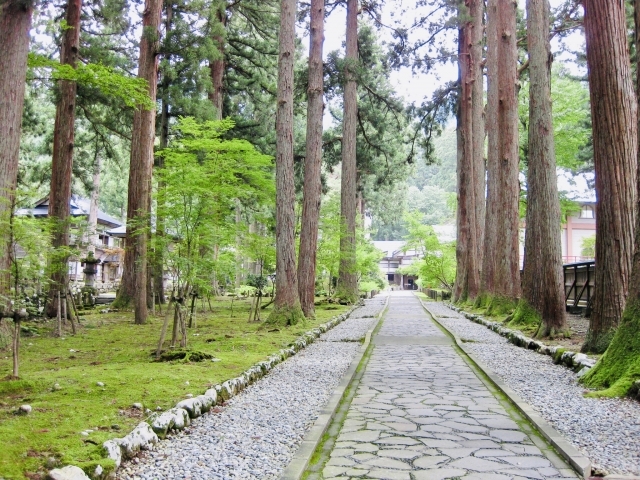 雲洞庵の画像