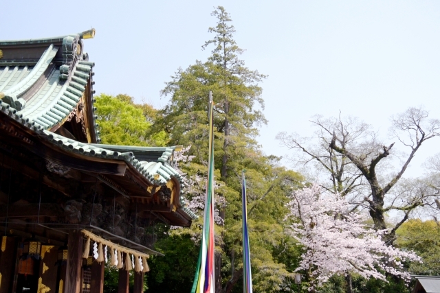三嶋大社の画像