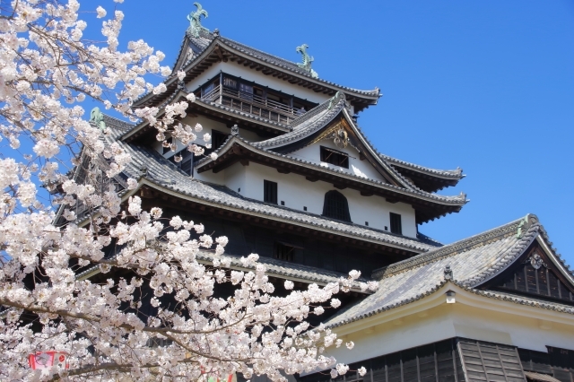 松江城の画像
