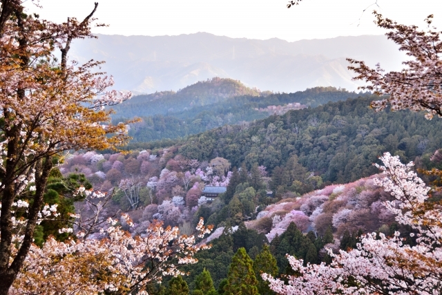 吉野山の画像