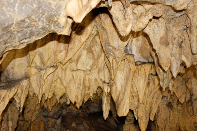 龍河洞 の画像