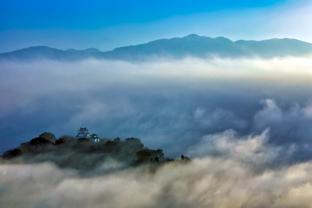 越前大野城の画像