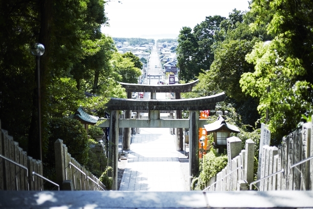宮地嶽神社の画像