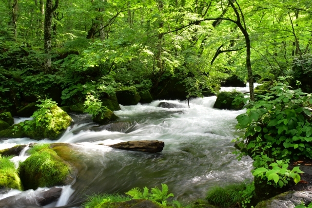 奥入瀬渓流の画像