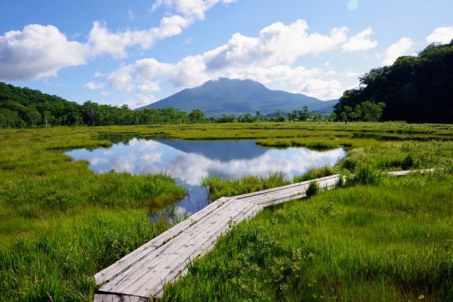 尾瀬ヶ原の画像