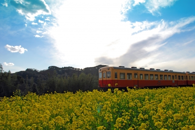 小湊鉄道の画像