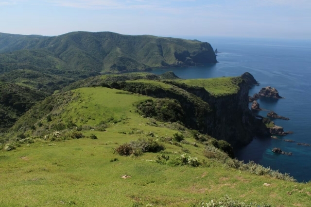 隠岐の島の画像