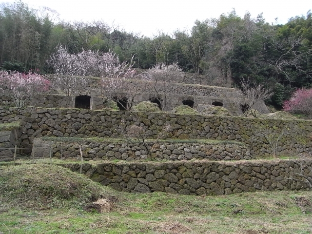 石見銀山遺跡の画像