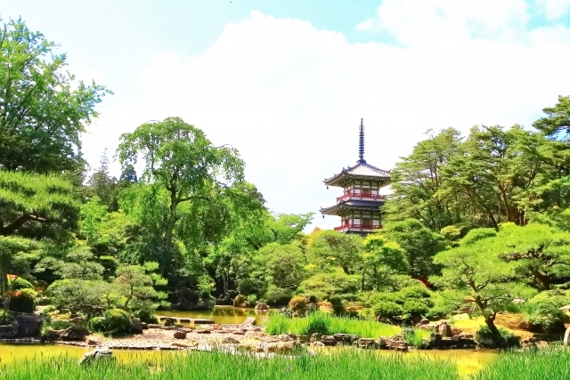 金剛宝山 輪王寺の画像
