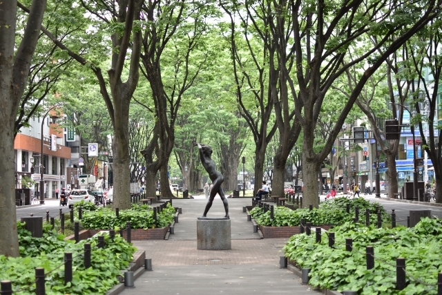 青葉・定禅寺通りのケヤキ並木の画像