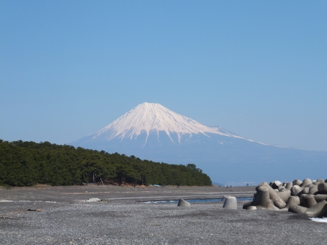 三保の松原の画像