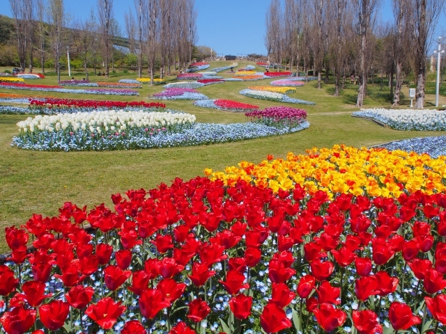 国営明石海峡公園の画像