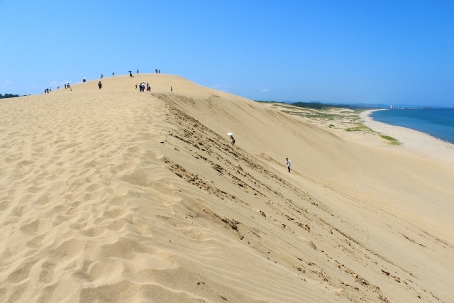 鳥取砂丘の画像