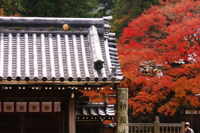 九年庵（旧伊丹家邸宅）の画像