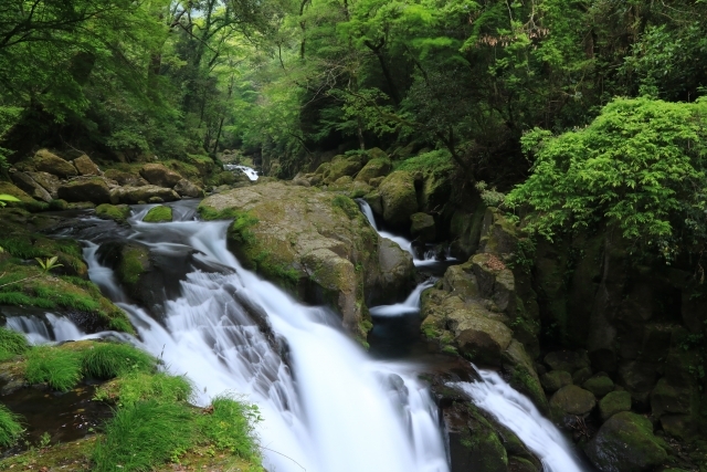 菊池渓谷の画像