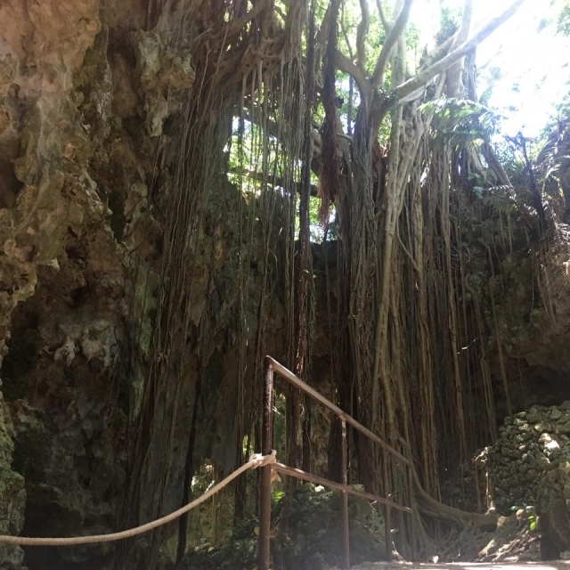 ガンガラーの谷の画像