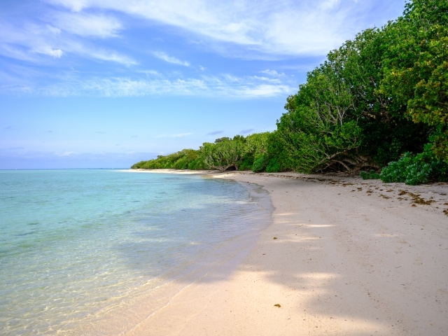 コンドイビーチの画像