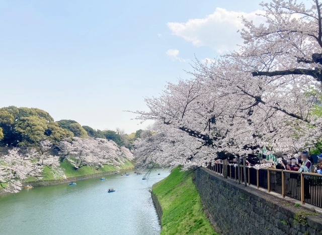 千鳥ヶ淵の画像