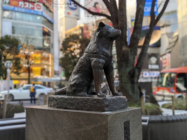 ハチ公（渋谷駅）の画像