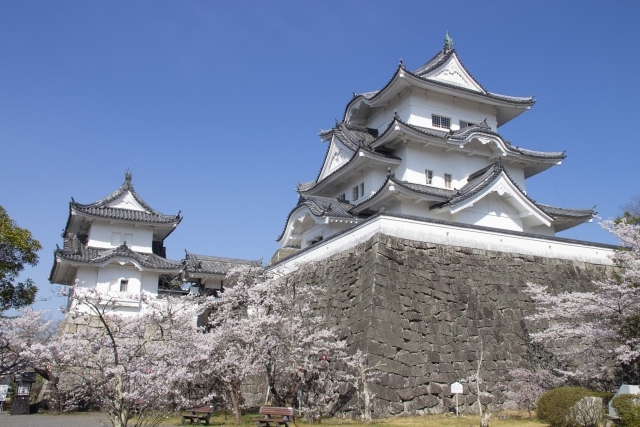 伊賀上野城の画像