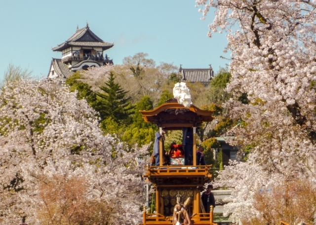 犬山祭の画像