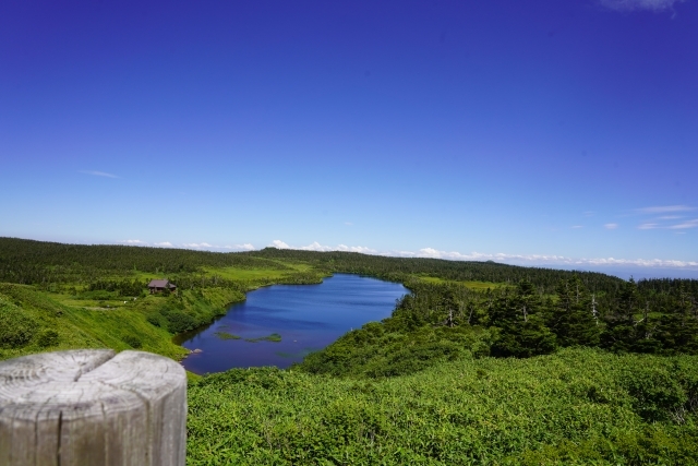 八幡平の画像