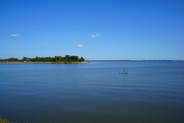 霞ヶ浦の画像