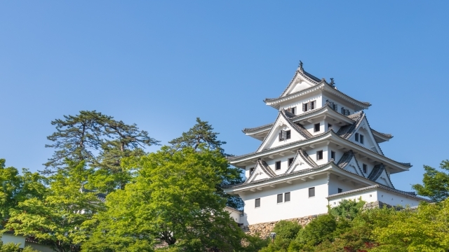 郡上八幡城の画像